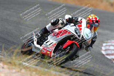 media/Jul-08-2023-2WTD (Sat) [[c8c0d2e149]]/C Group/1240pm (Turn 5)/